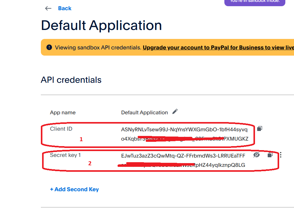How to setup PayPal?